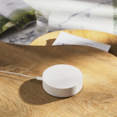 Xiaomi hub hotsell google home