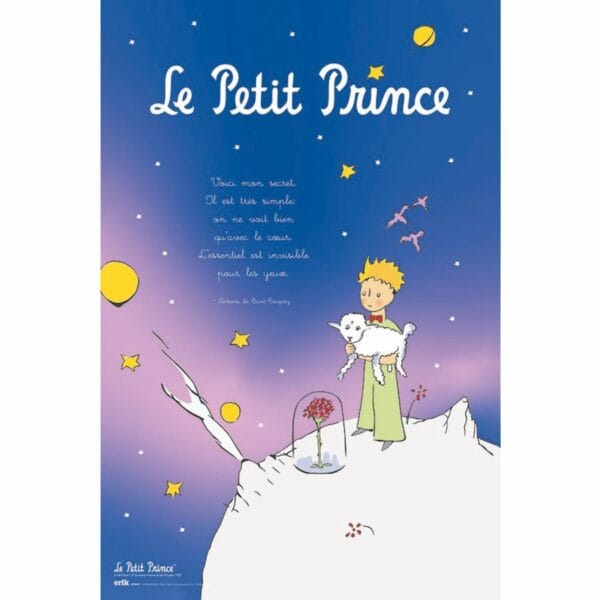 art print 30x40 cm le petit prince framed (8435497250966)
