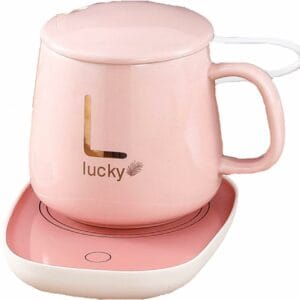 electric automatic thermostatic coaster