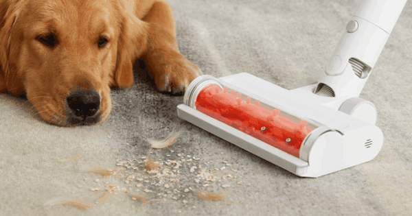 xiaomi mi vacuum cleaner g11 cordless/bagless vacuum cleaner
