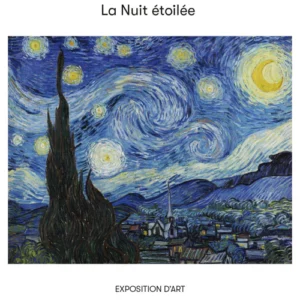 art print van gogh la nuit etoilee (8435497279868)