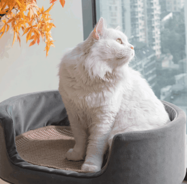 upergo cozycat nest floor stand mp 2