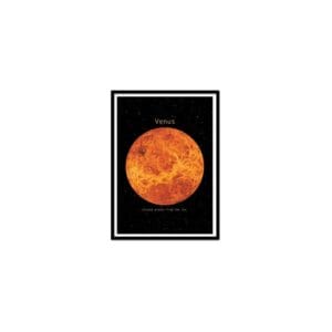art poster venus terry fan
