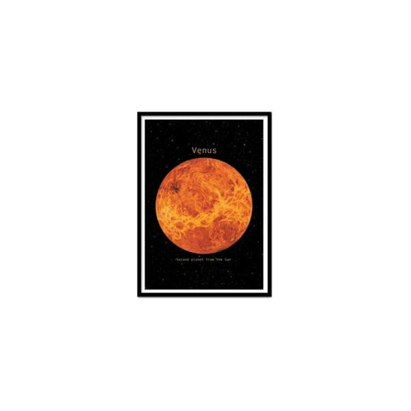 art poster venus terry fan