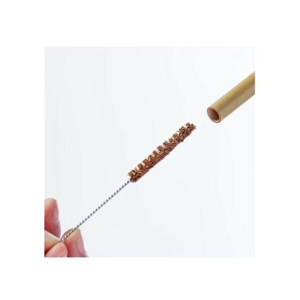bamboo drinking straw + cleaning brush