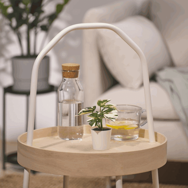 IKEA - FEJKA (Monstera) - 805.932.05 - Image 3