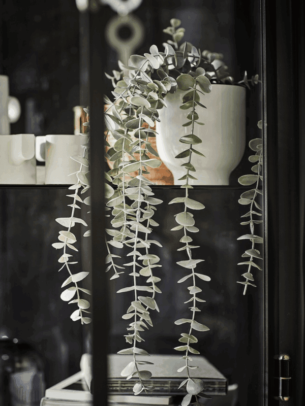 ikea fejka (eucalyptus) 704.668.11