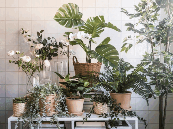 ikea fejka (eucalyptus) 704.668.11