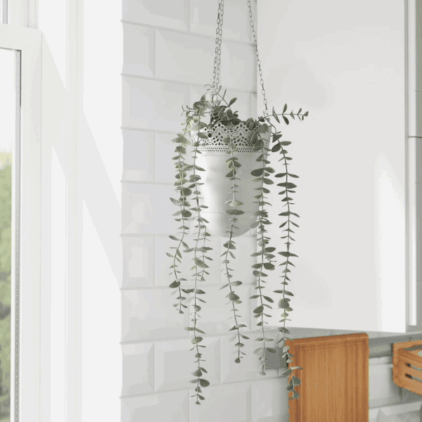 ikea fejka (eucalyptus) 704.668.11