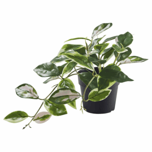 ikea fekja (005.932.14)