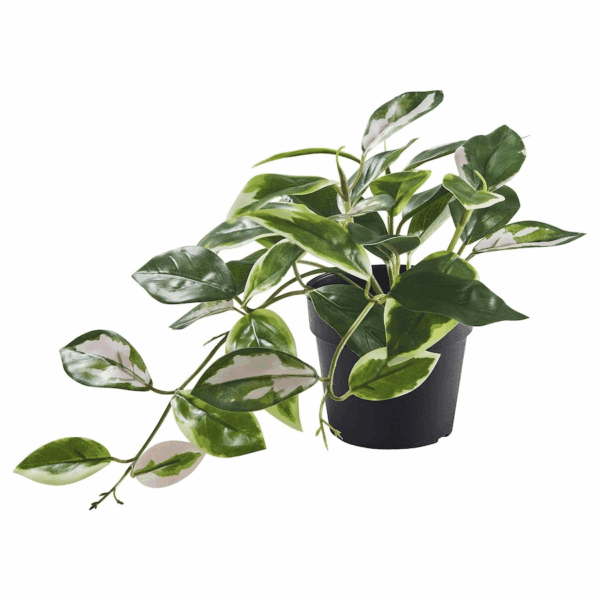 ikea fekja (005.932.14)