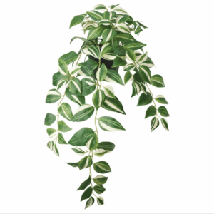 ikea fejka artificial potted plant (tradescantia zebrina) 605.465.78
