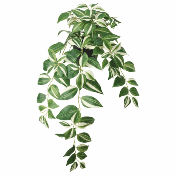 ikea fejka artificial potted plant (tradescantia zebrina) 605.465.78
