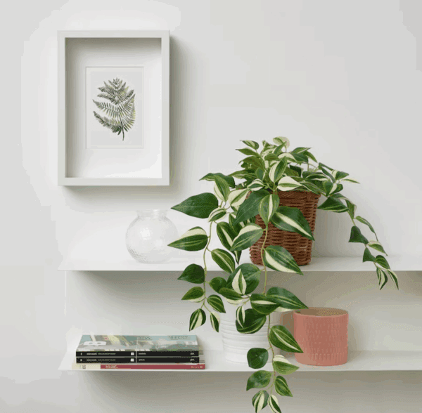 ikea fejka artificial potted plant (tradescantia zebrina) 605.465.78