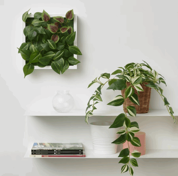 ikea fejka artificial potted plant (tradescantia zebrina) 605.465.78