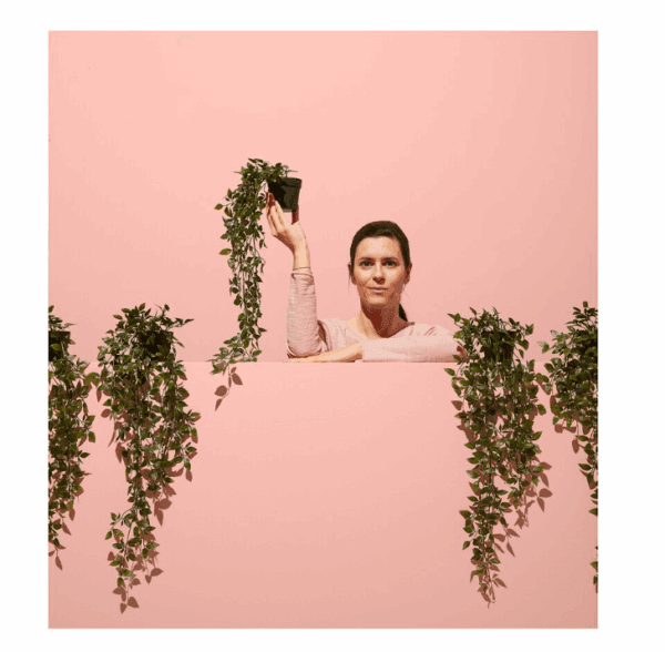 ikea fejka artificial potted plant (403.495.45)