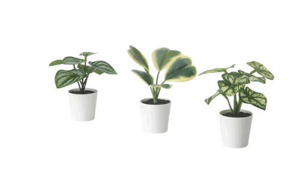 ikea biophilia set artificial potted plants (305.596.47)