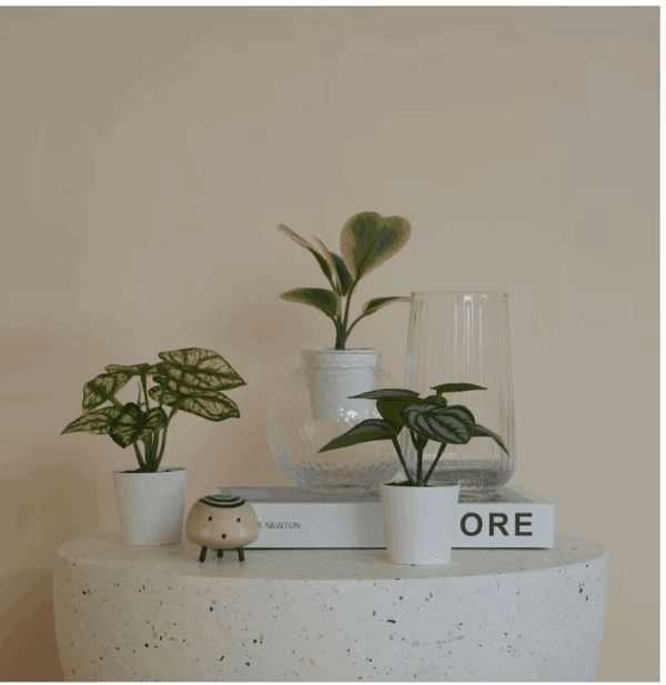 ikea biophilia set artificial potted plants (305.596.47)