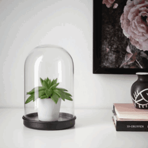ikea glass dome with clear glass (21 cm) (604.976.86)