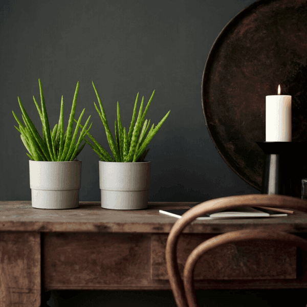 ikea decorative flower pots (803.956.15)