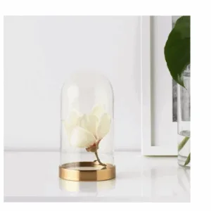 ikea glass dome laiton style 19cm / 26cm