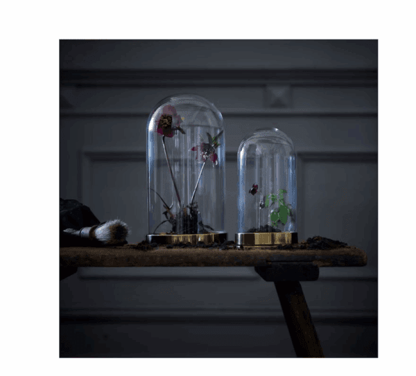 ikea glass dome laiton style 19cm / 26cm