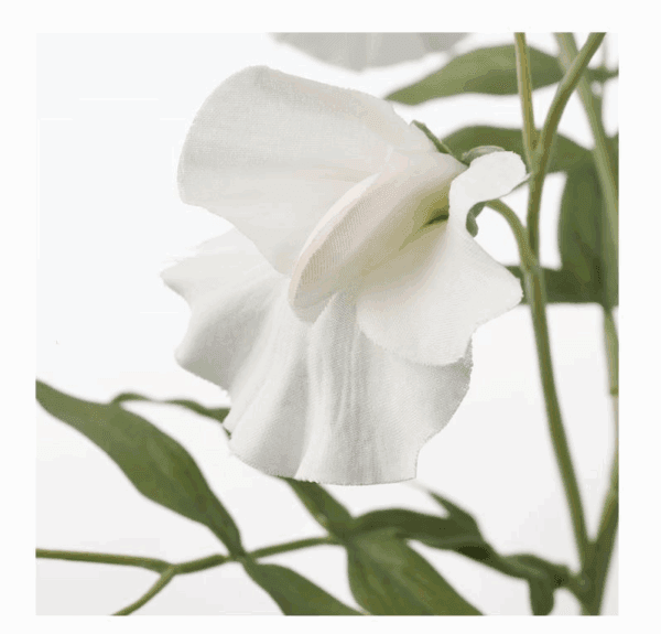 ikea fresh looking sweet pea/white