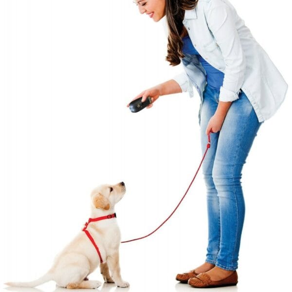 pet command the ultimate dog training system (bootleg)
