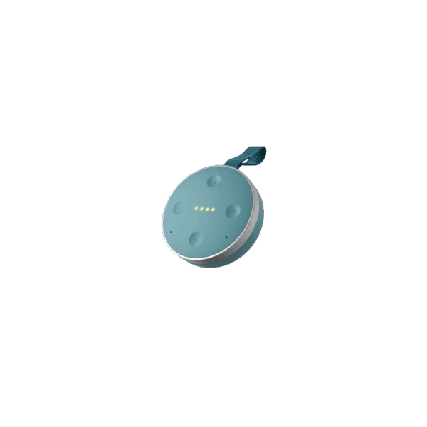 tichome mini smart speaker