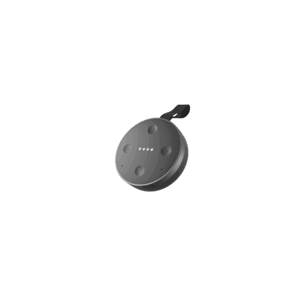 tichome mini smart speaker