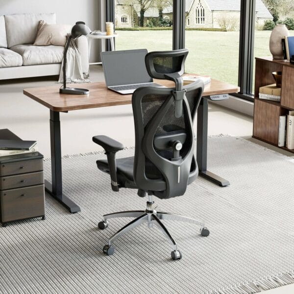 sihoo ergonomic office chair (black) m57 001