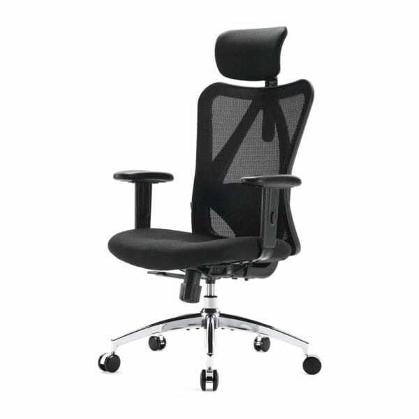 sihoo classic ergonomic chair with spinal relief (black) m18 n107