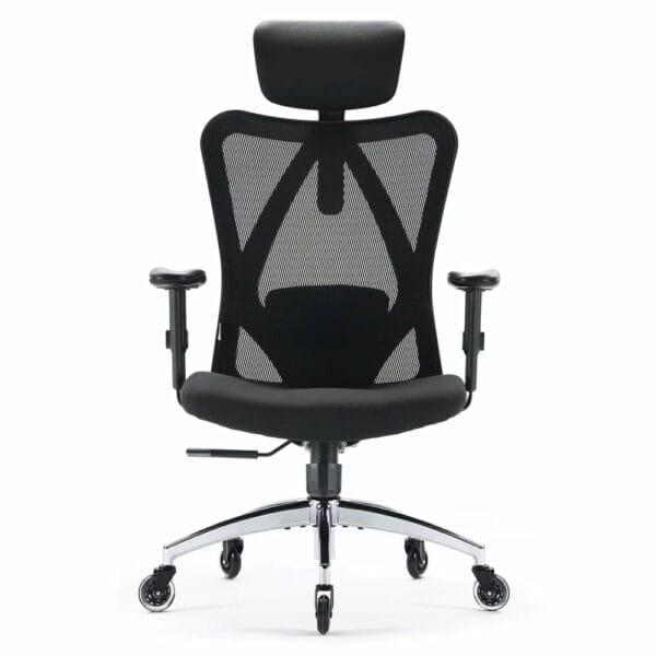 sihoo classic ergonomic chair with spinal relief (black) m18 n107