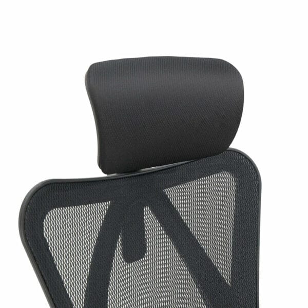 sihoo classic ergonomic chair with spinal relief (black) m18 n107