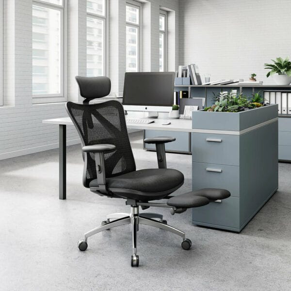 sihoo classic ergonomic chair with spinal relief (black) m18 n107