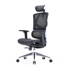 sihoo ergonomic chair with dynamic lumbar support (black) m90c 401