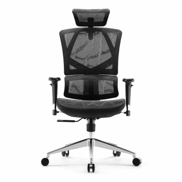 sihoo ergonomic chair with dynamic lumbar support (black) m90c 401