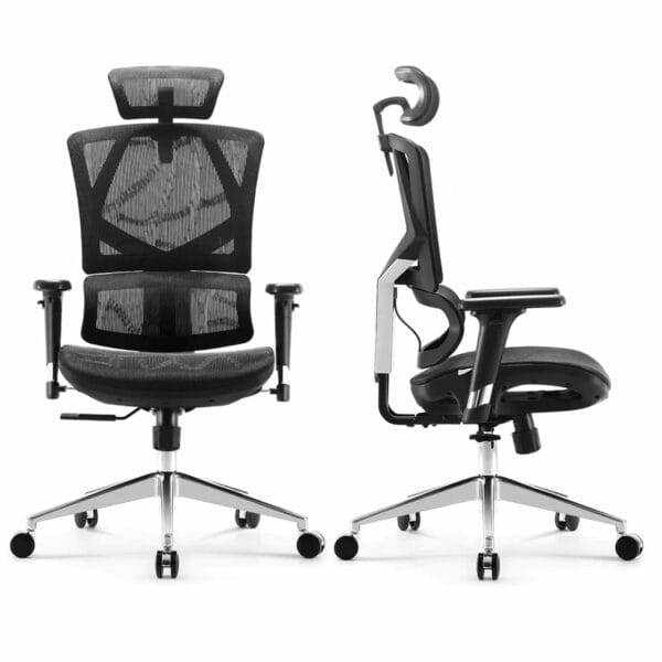 sihoo ergonomic chair with dynamic lumbar support (black) m90c 401