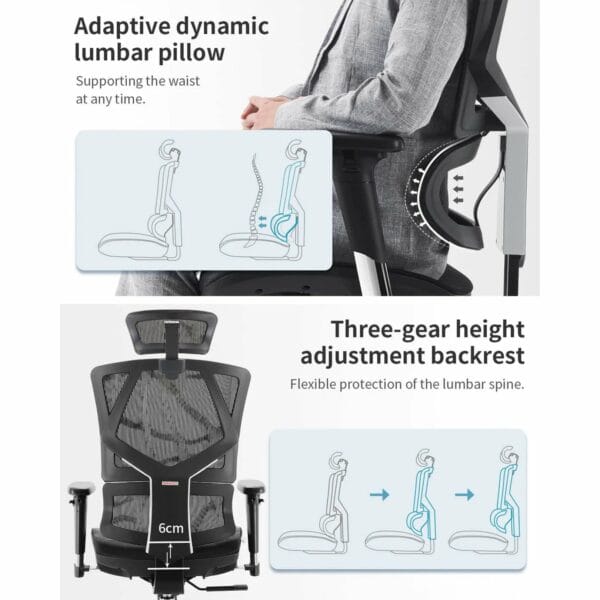 sihoo ergonomic chair with dynamic lumbar support (black) m90c 401