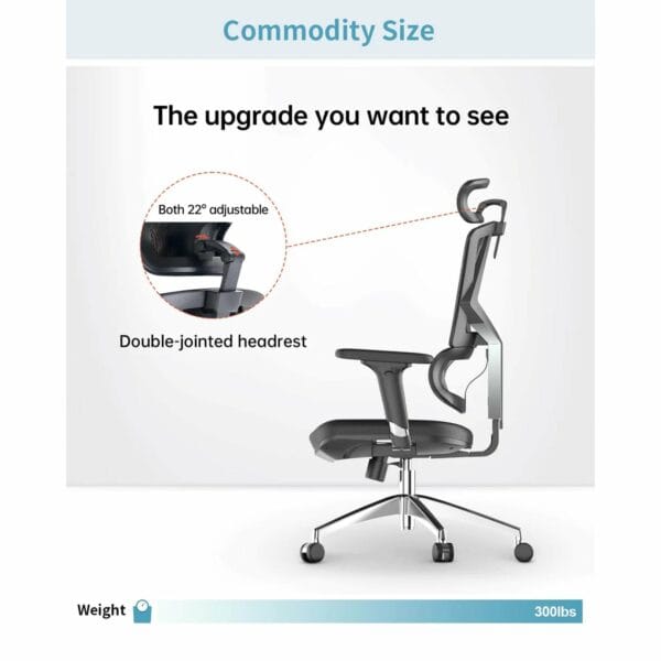 sihoo ergonomic chair with dynamic lumbar support (black) m90c 401