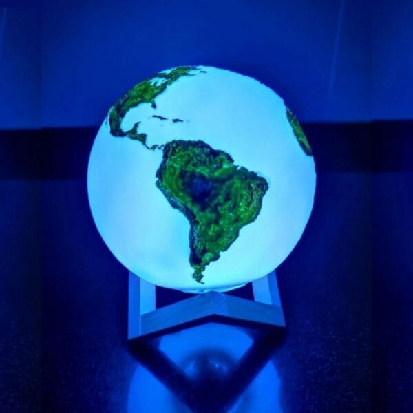 led earth night light