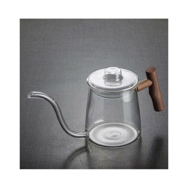 glass stovetop gooseneck kettle