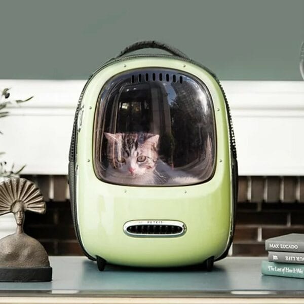 pet carrier backpack transparent waterproof travel bag