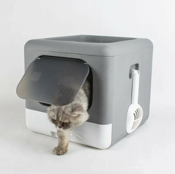 cat litter box