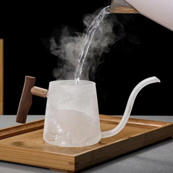 glass stovetop gooseneck kettle