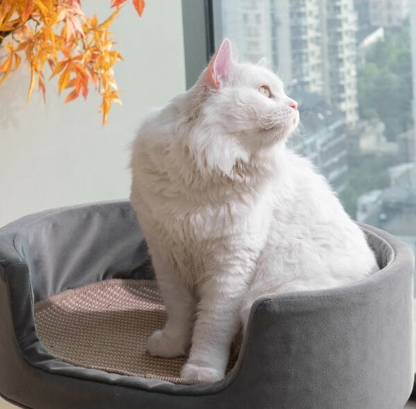 upergo cozycat nest floor stand mp 2