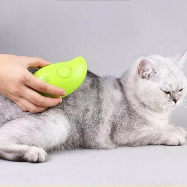 cat steam brush