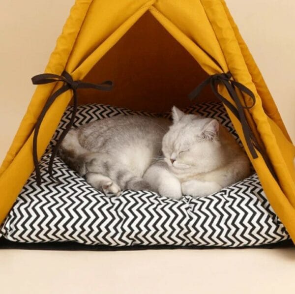 cat teepee bed
