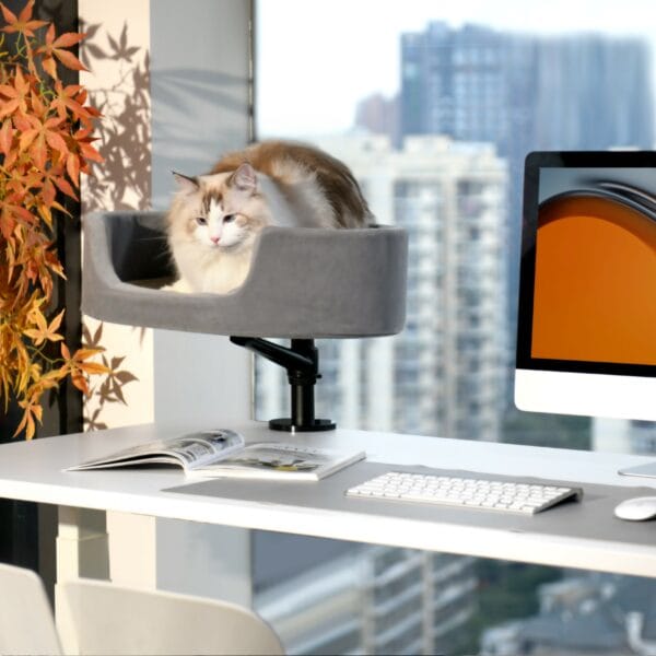 upergo cozycat nest desk mount mp 1