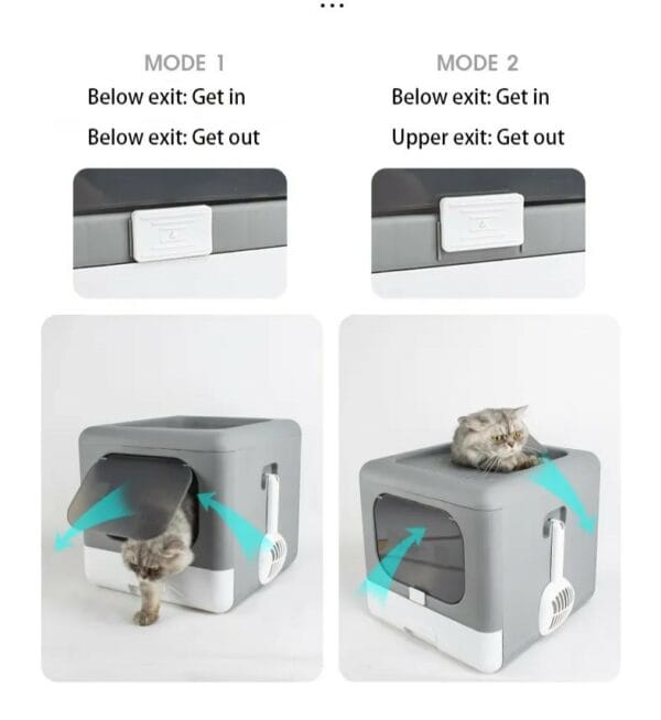 cat litter box
